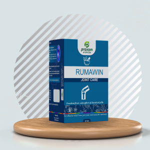 Rumawin